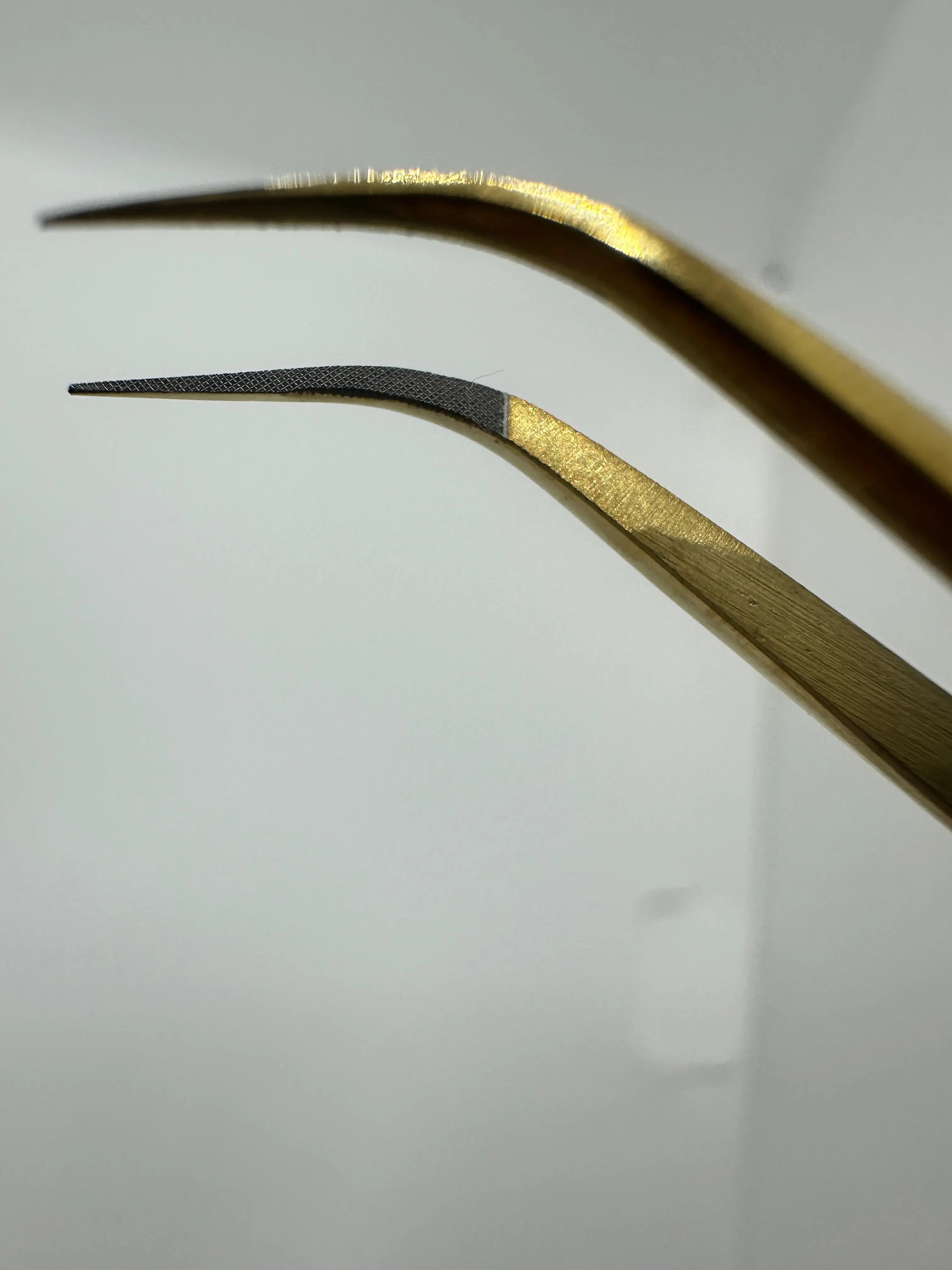 pinces de prise TDGBeauty